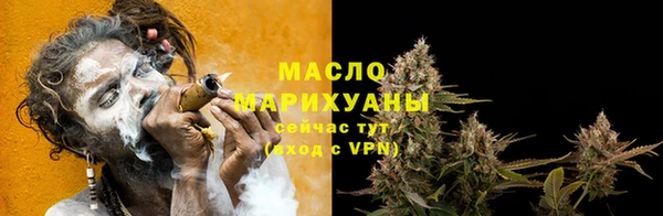 сатива Каменка