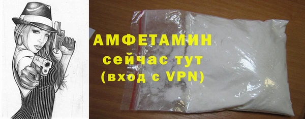 сатива Каменка