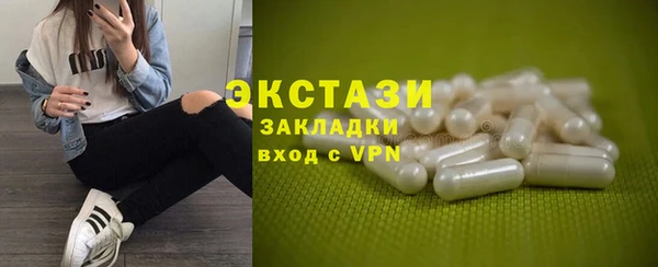 spice Инта