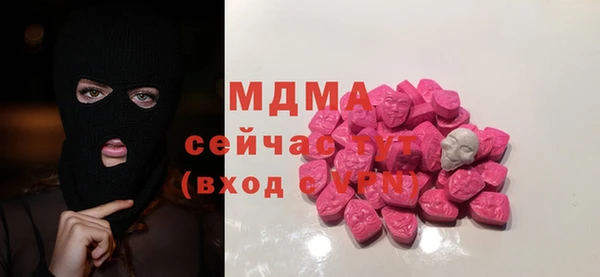 сатива Каменка