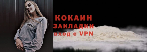 сатива Каменка