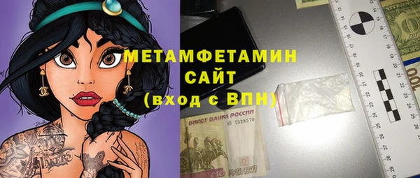 сатива Каменка