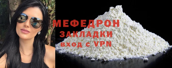 сатива Каменка